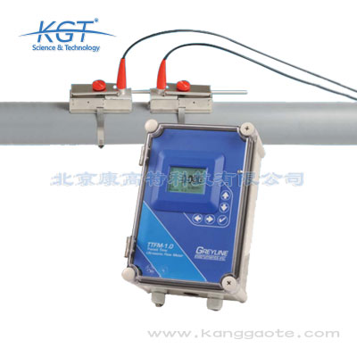 加拿大GREYLINED  TTFM1.0超聲波流量計