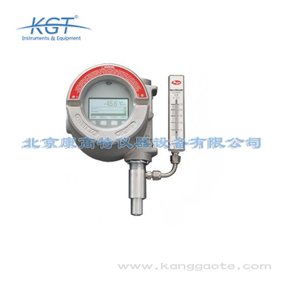 美國PHYMETRIX DPT-910在線式天然氣露點儀 
